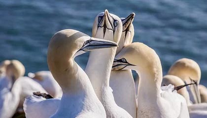 九游网页版官网入口-绝地求生 选手训练强度持续加大，绝地求生训练手雷在哪里