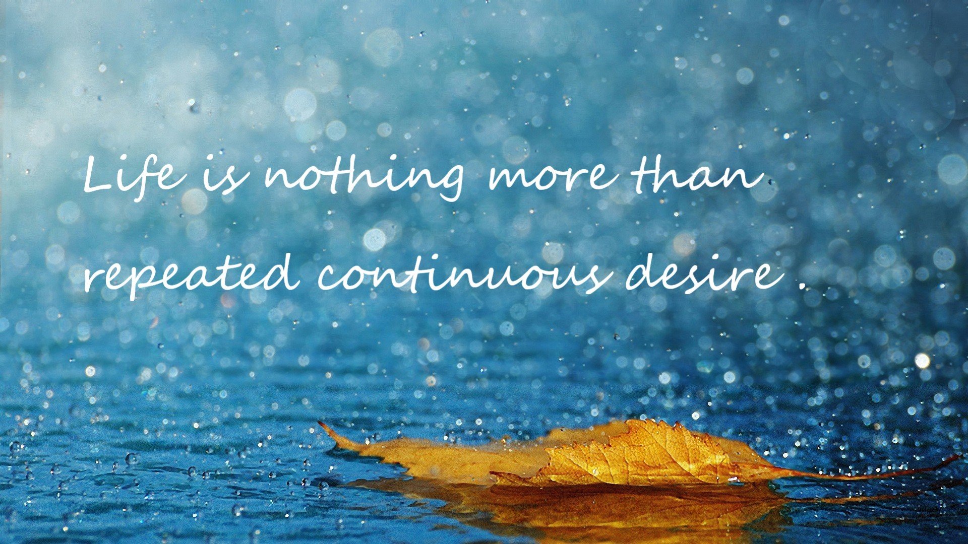 雄鹿后卫三分命中率高达46%,跻身联盟第一,雄鹿的得分后卫