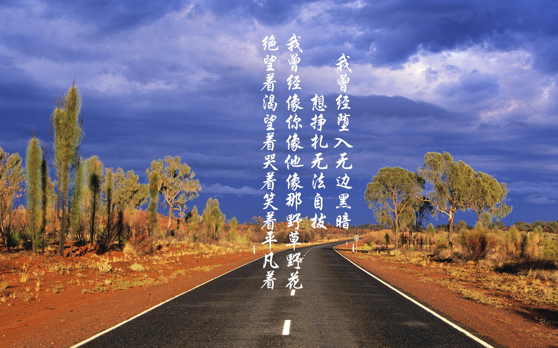 青训“产业+科技”融合发展新路径逐步清晰，行业高质量发展加速