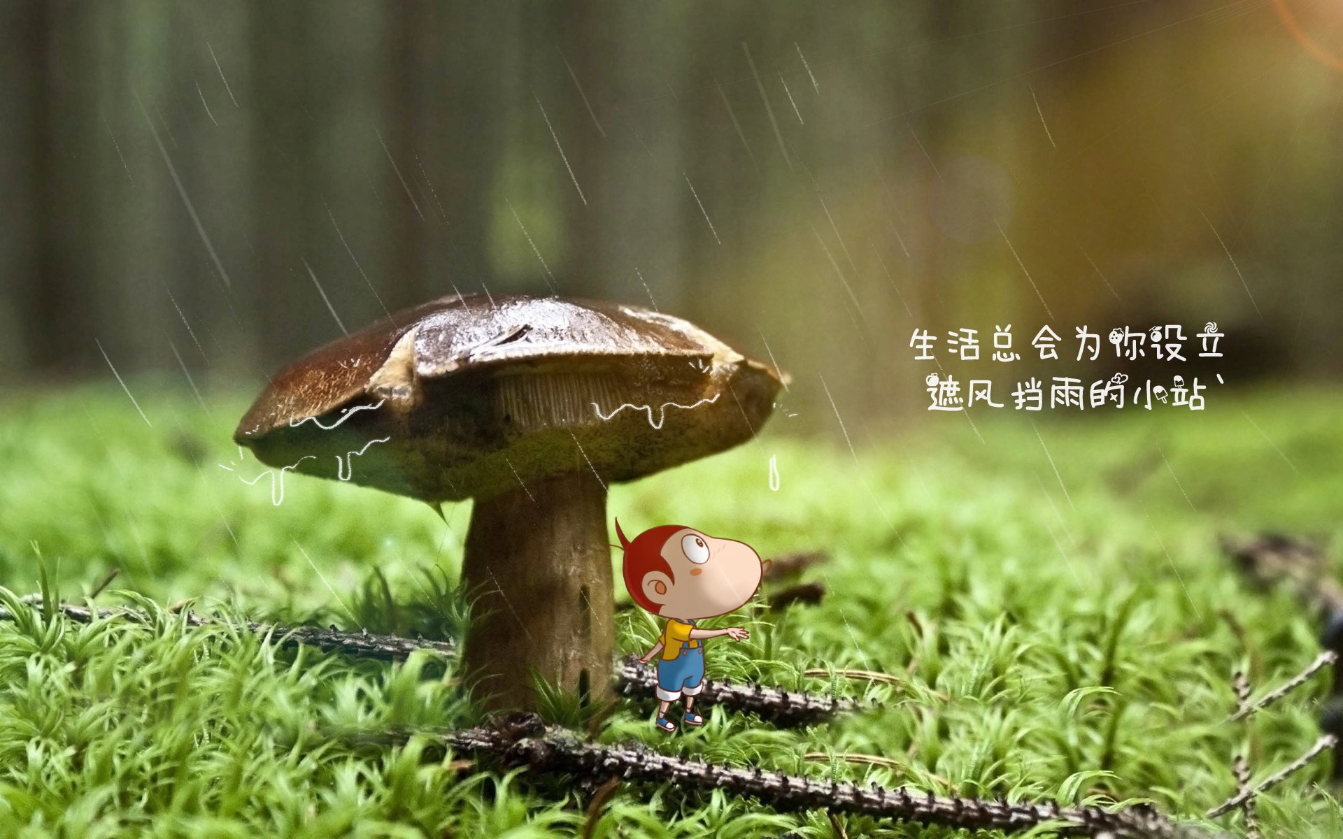 中国足球是否能构建可持续发展生态圈，中国足球改革实现全面发展