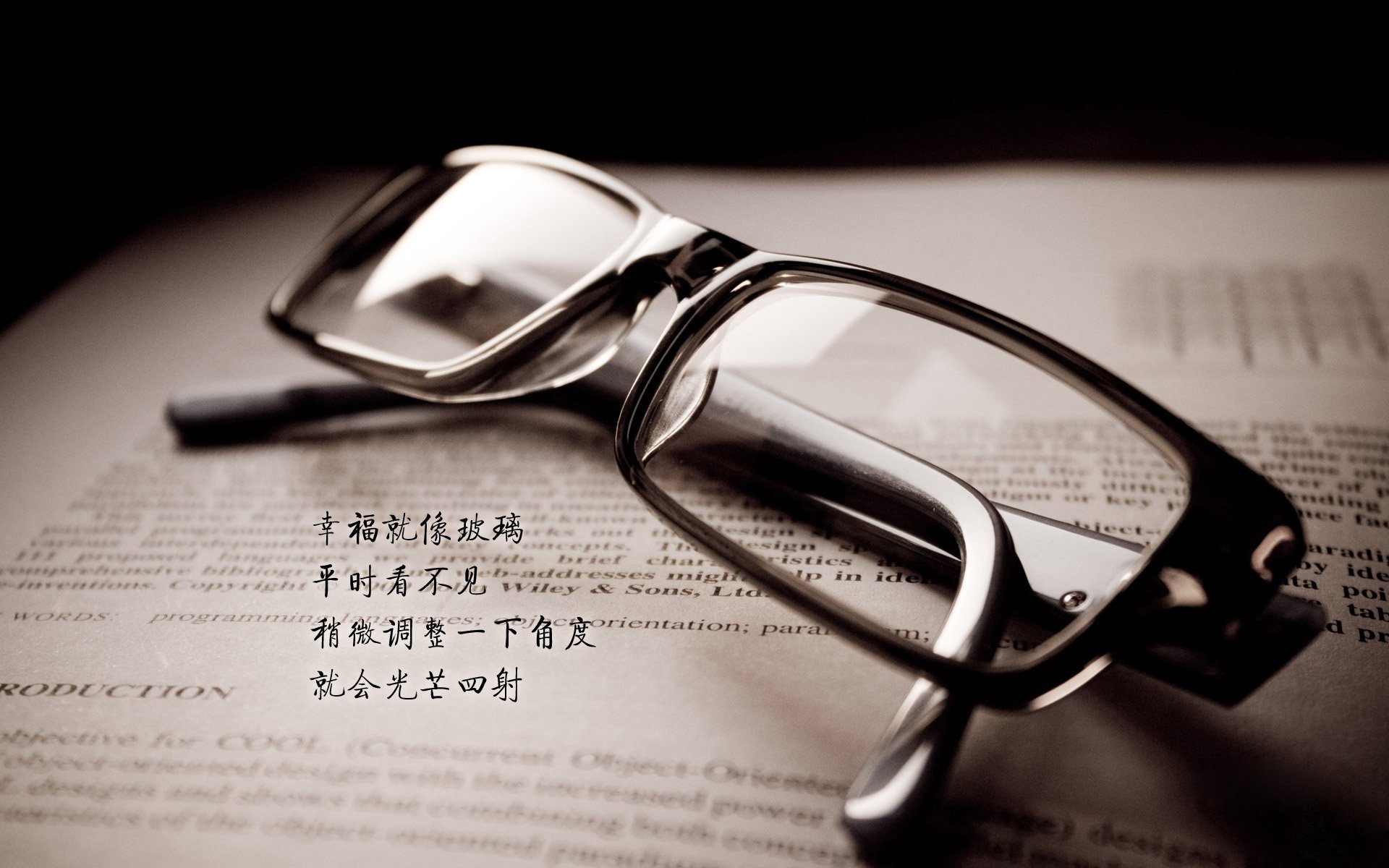 奇才迎首胜比尔表现抢眼，奇才比尔什么水平