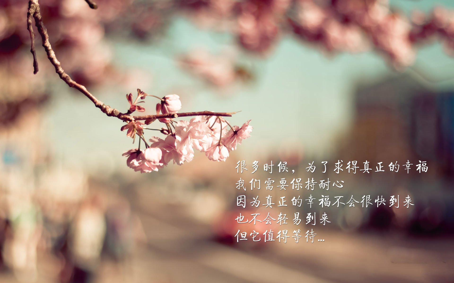 中国青少年篮球推广与校园篮球融合发展策略，2019全国青少年校园篮球特色学校