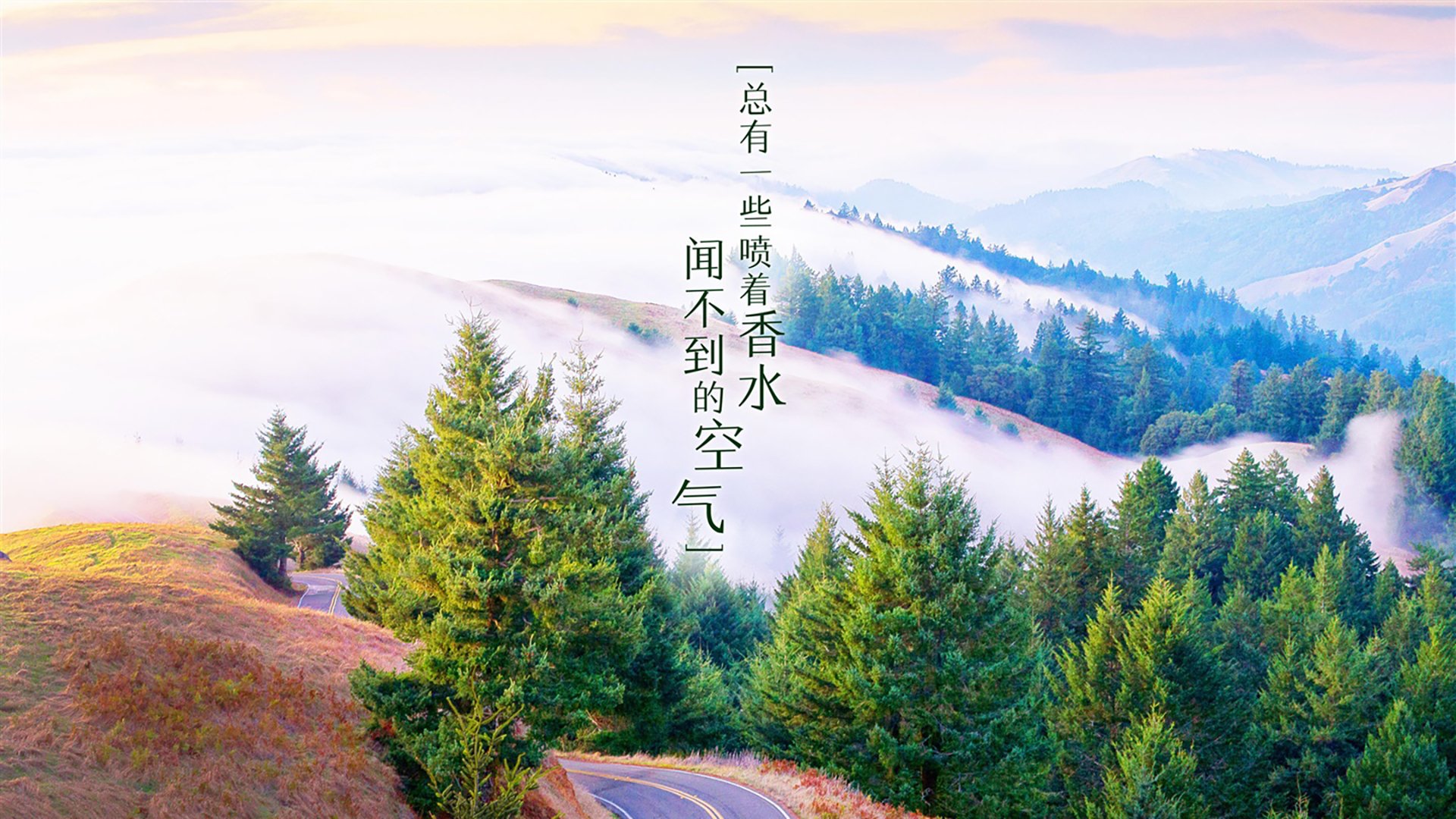 Jiu You-新加坡羽球公开赛国羽组合险胜夺金，新加坡羽毛球公开赛2021