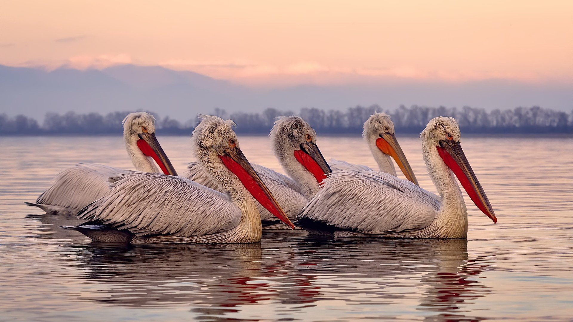 九游下载安装-五大联赛上半场控球优势是否总能转化为进球，五大联赛单场进6球
