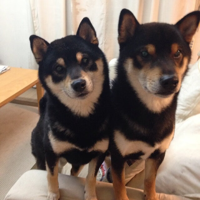 体育新闻中心构建体育赛事多渠道内容发布体系,大型体育赛事新闻运行的五大核心板块