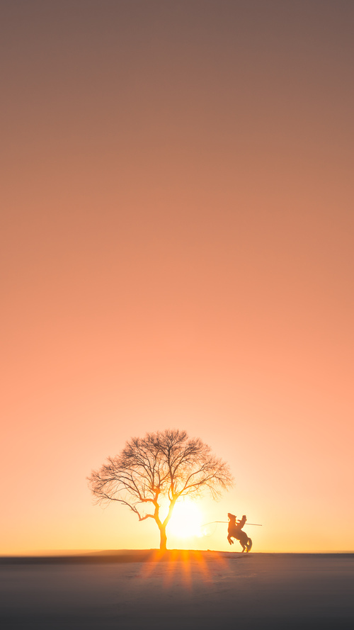 最会分球的中锋在战术中的特殊作用,中锋分为哪几种类型