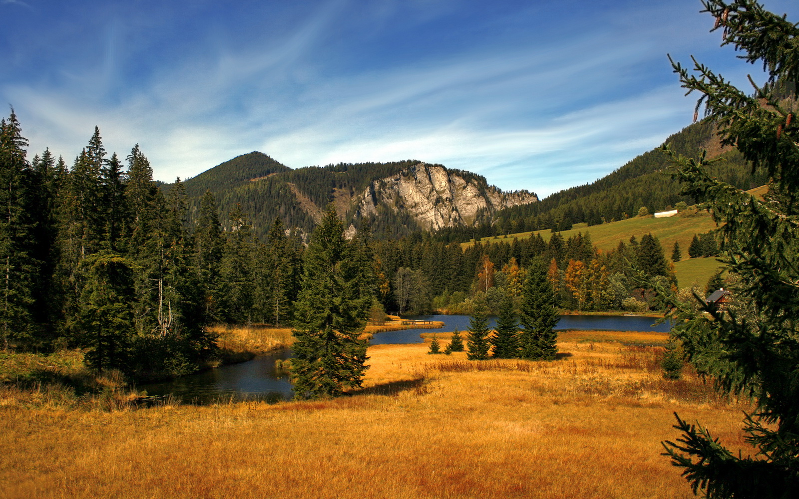 JIU YOU GAME-“埃尔斯·霍斯特出色表现，成为南非队的支柱”