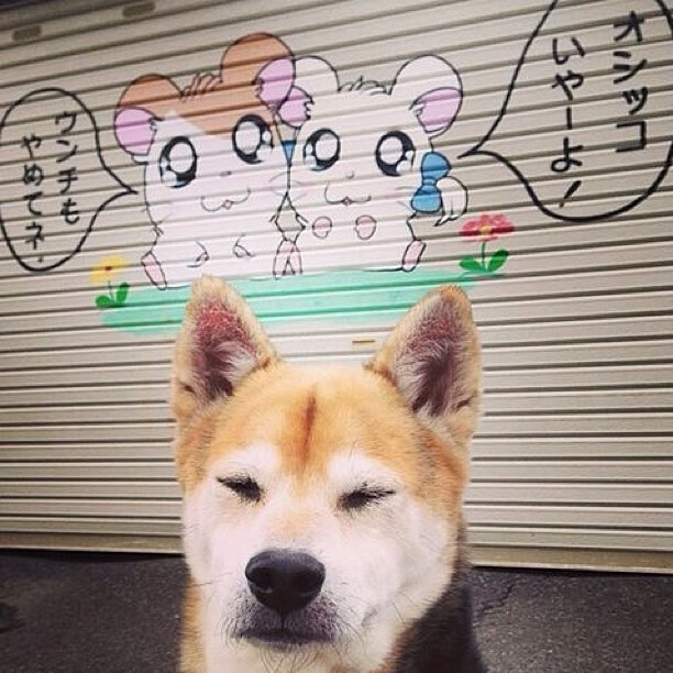 中乙联赛加强裁判选派机制提高执法一致性,中甲联赛裁判