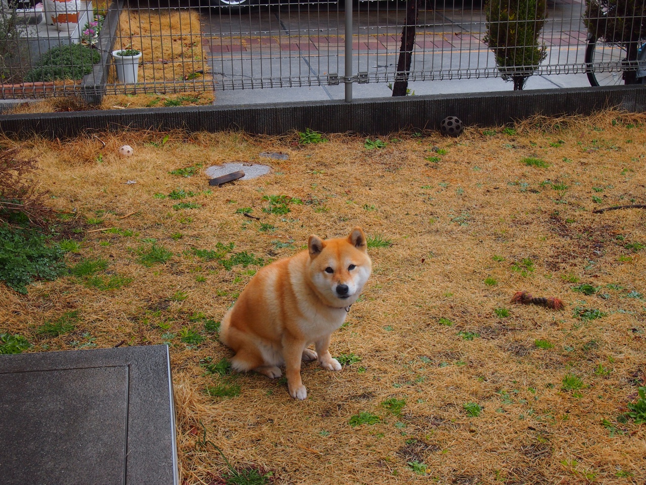 九游游戏中心官网-瑞·弗兰：全黑队进攻的“破局者”，突破后的进攻总能撕开对方防线