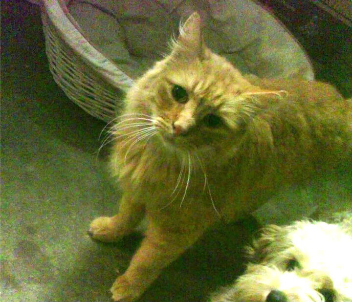 九游登录入口-英超激烈争夺，豪门竞争趋于白热化