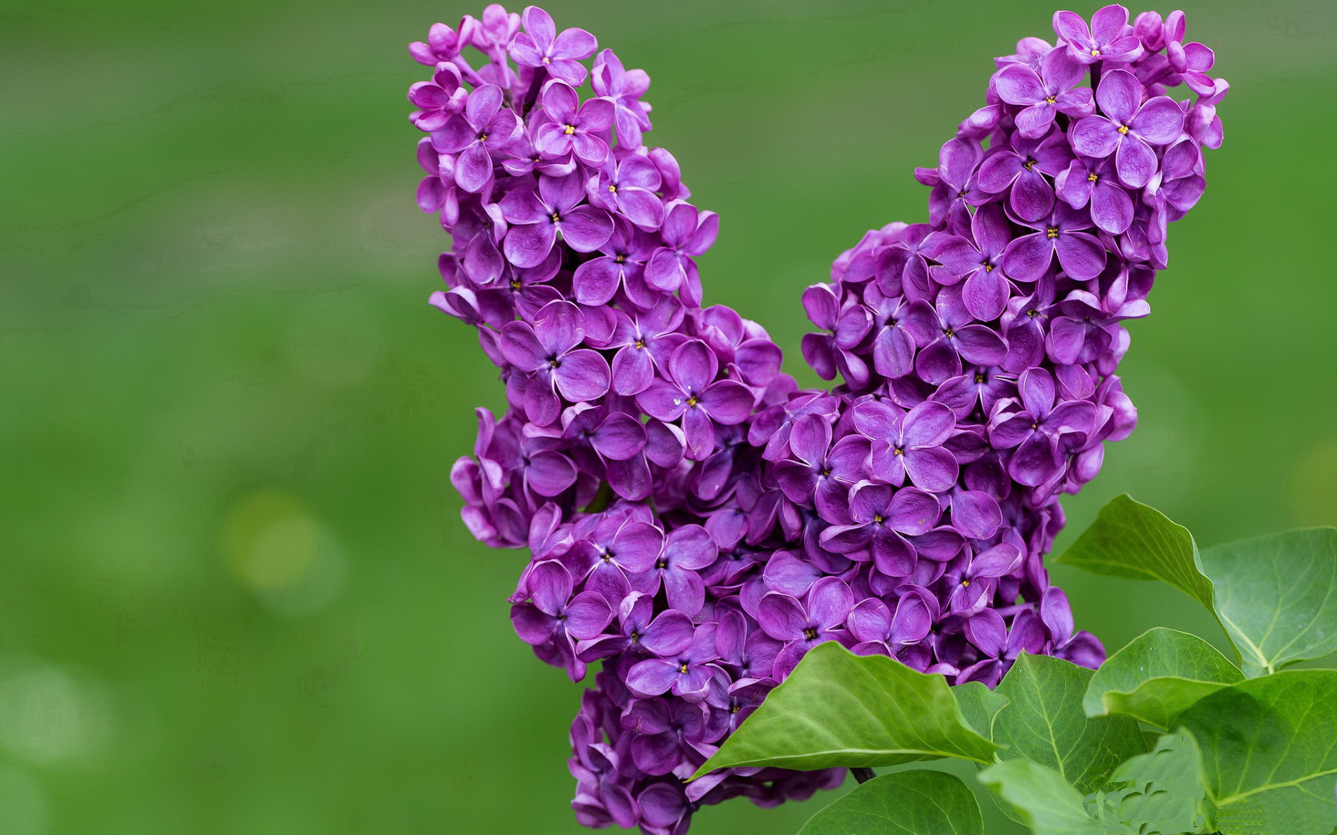 青少年足球比赛全程直播,扩大社会关注度,青少年足球联赛直播